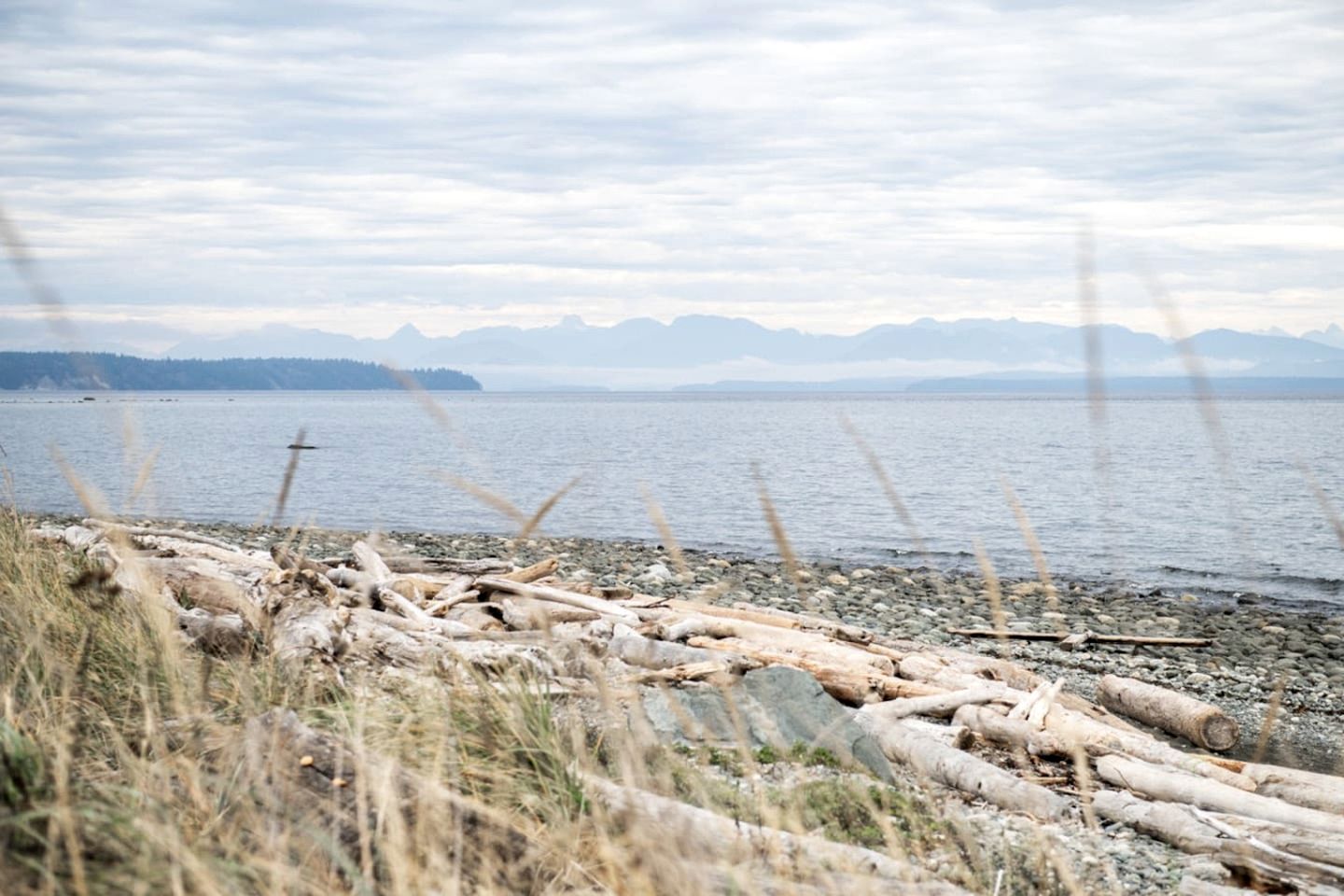 Chic Oceanfront Retreat with Cedar Sauna near Stories Beach in Campbell River, BC