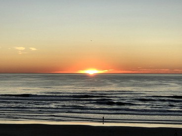 undefined photo 4