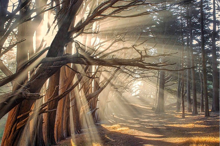 Vacation Rentals (United States of America, Moss Beach, California)