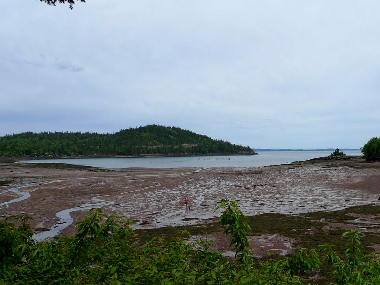 Stunning Vacation Rental near Saint John, New Brunswick