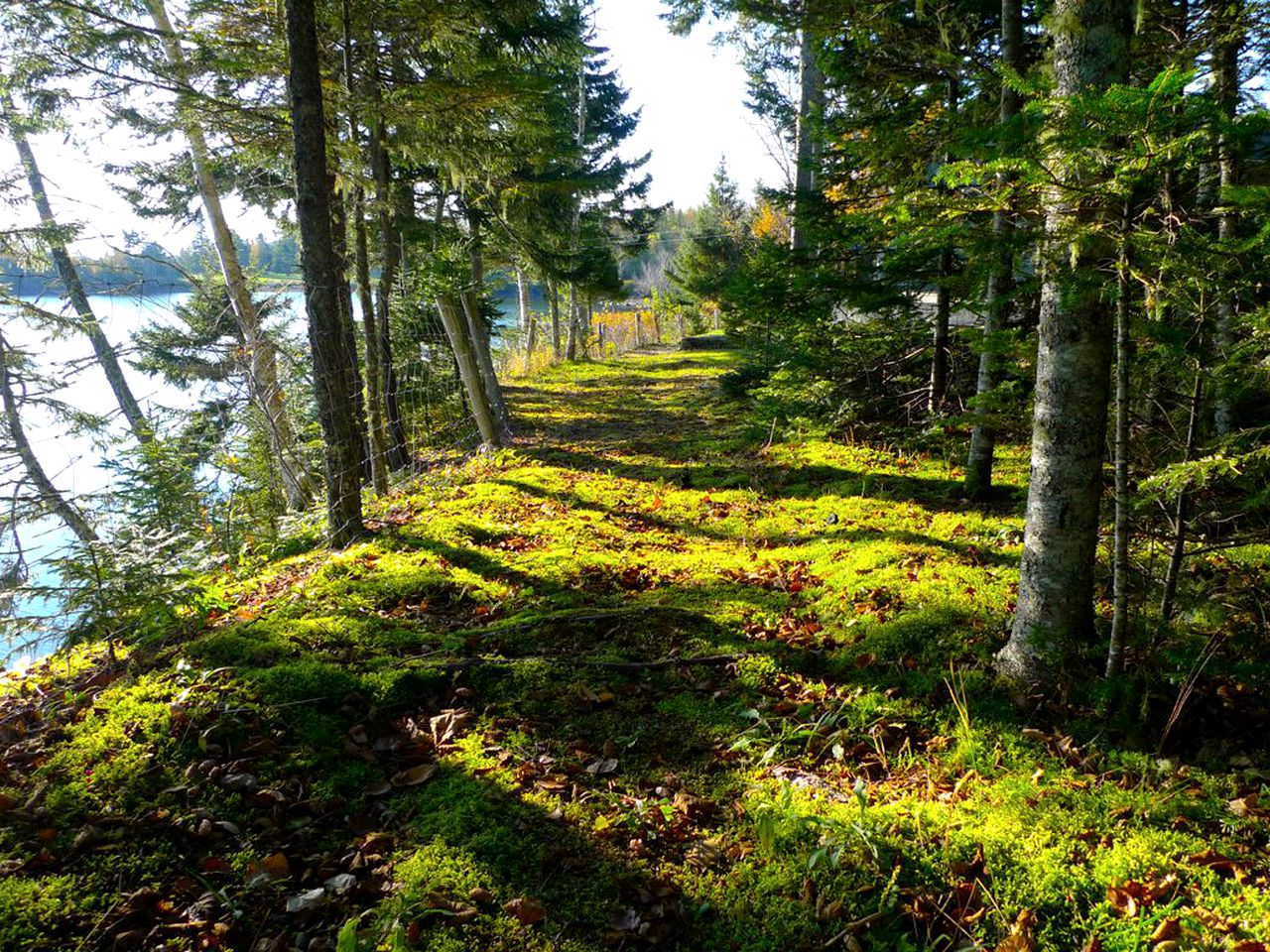 Stunning Vacation Rental near Saint John, New Brunswick