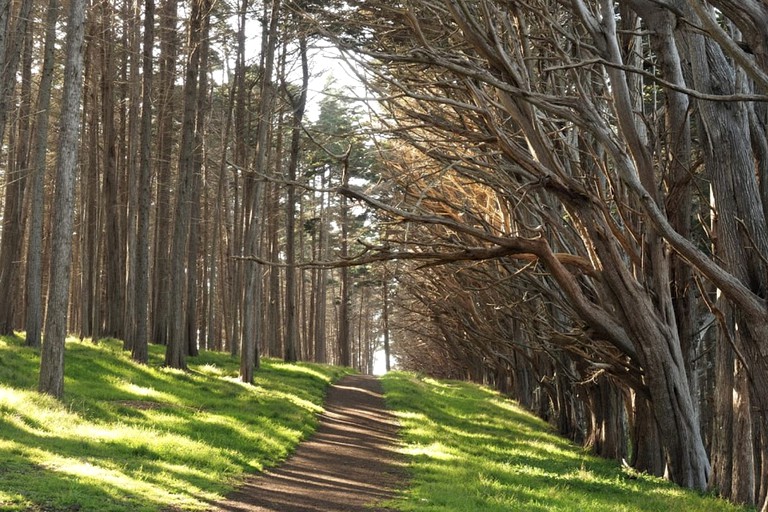 Vacation Rentals (United States of America, Montara, California)