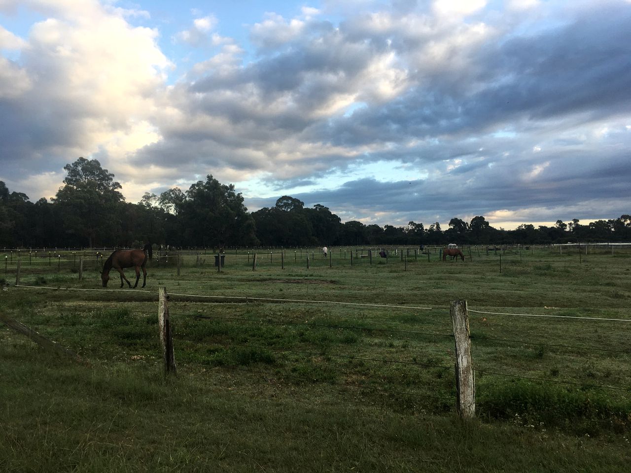 Peaceful Tiny House Rental Ideal for NSW Glamping