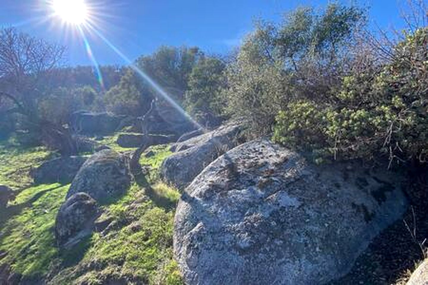 Off-Grid Birdhouse - Tiny Cabin partially finished
