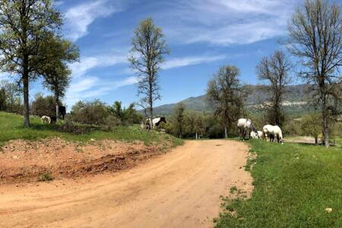 Off-Grid Birdhouse - Tiny Cabin partially finished
