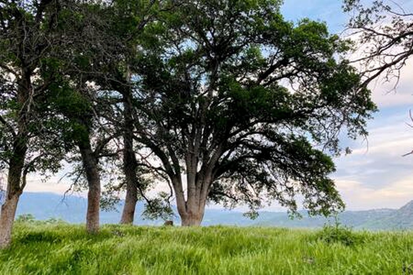 Off-Grid Birdhouse - Tiny Cabin partially finished