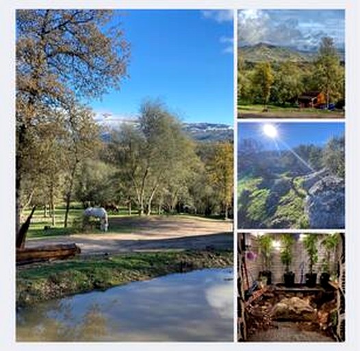 Cabins (United States of America, Fresno, California)