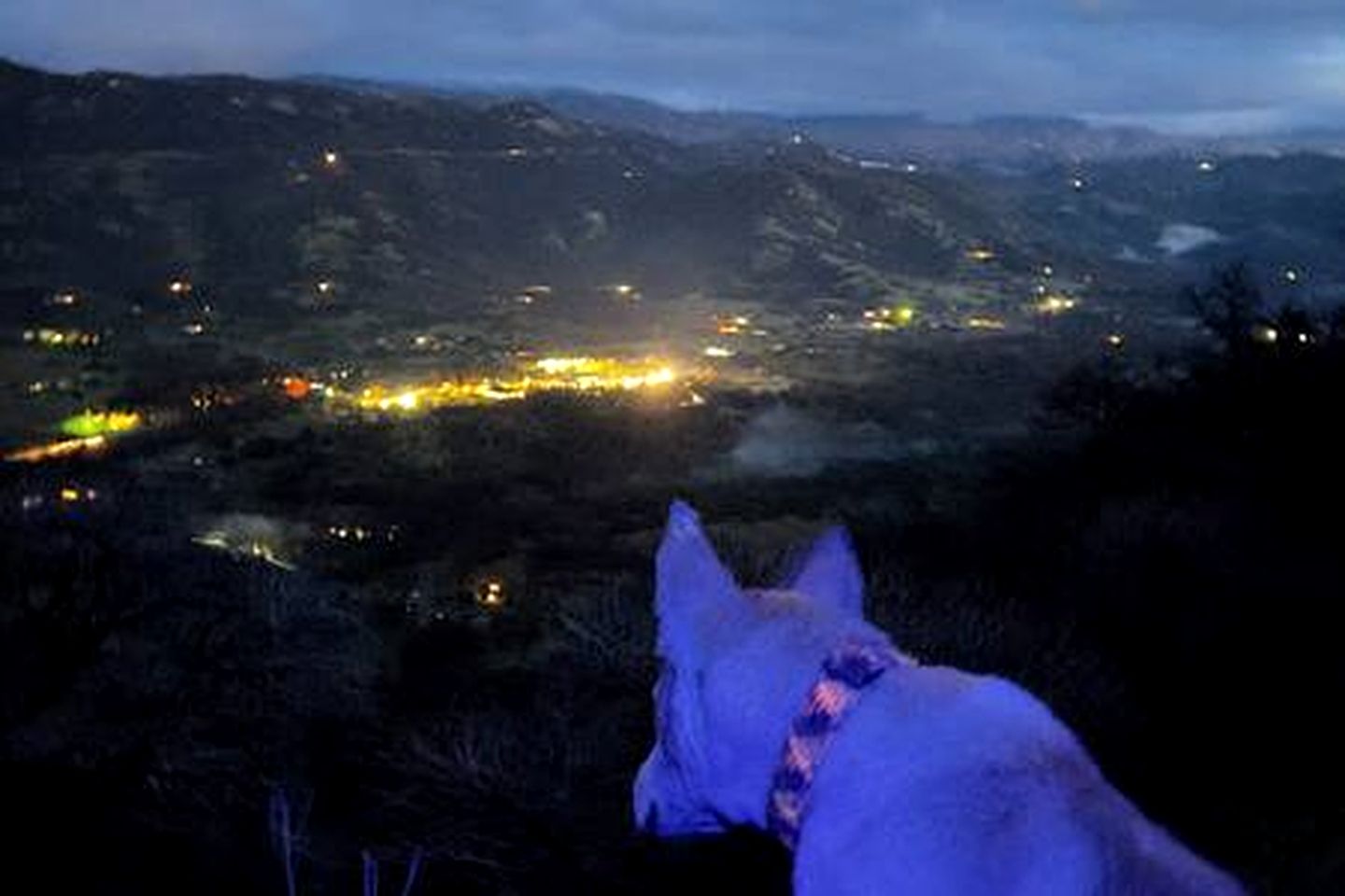 Off-Grid Birdhouse - Tiny Cabin partially finished