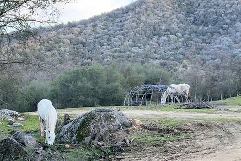 Cabins (United States of America, Fresno, California)