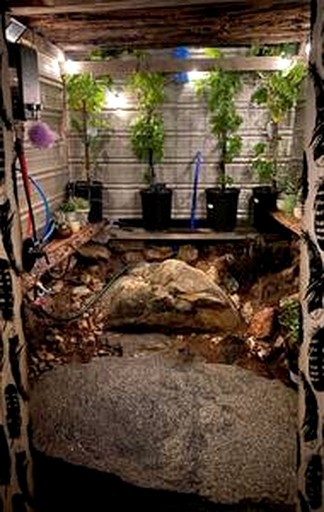 Cabins (United States of America, Fresno, California)