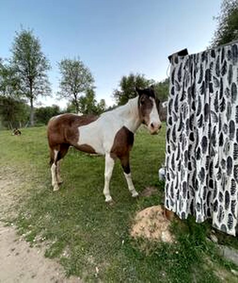 Off-Grid Birdhouse - Tiny Cabin partially finished
