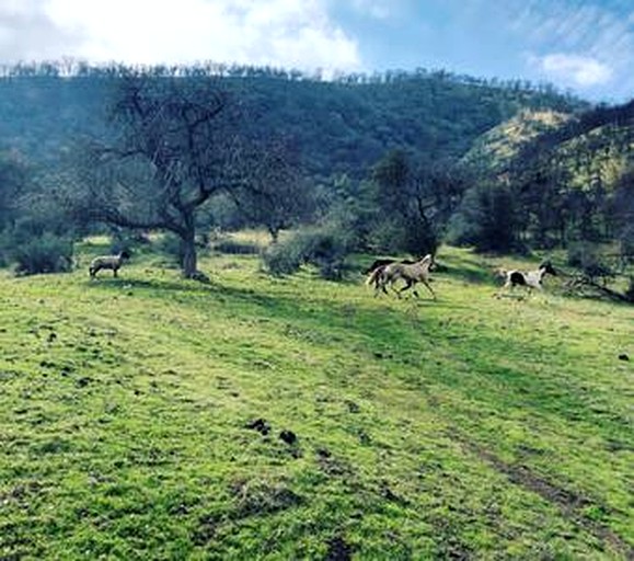 Cabins (United States of America, Fresno, California)