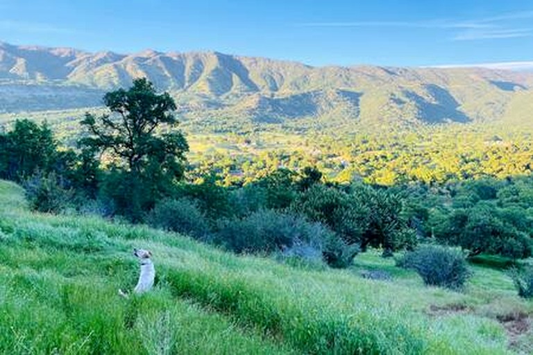 Cabins (United States of America, Fresno, California)