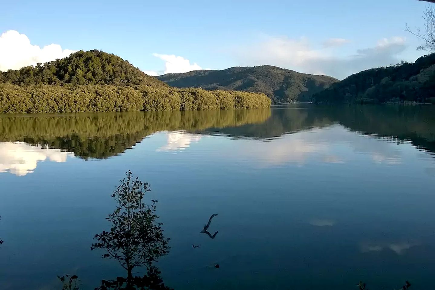 Off-Grid Cabin Rental on Bay of Islands, New Zealand