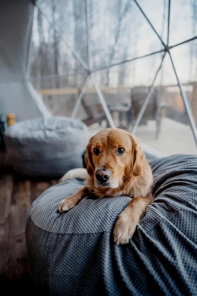 Off-Grid Dome with Private Hot-Tub and Spectacular Sunrise Views in Tennessee