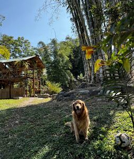 Cottages (Ecuador, Mindo, Pichincha)