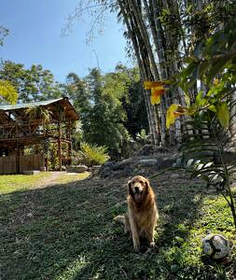 Off-Grid Pet-Friendly Cottage Nestled Among Nature in Ecuador