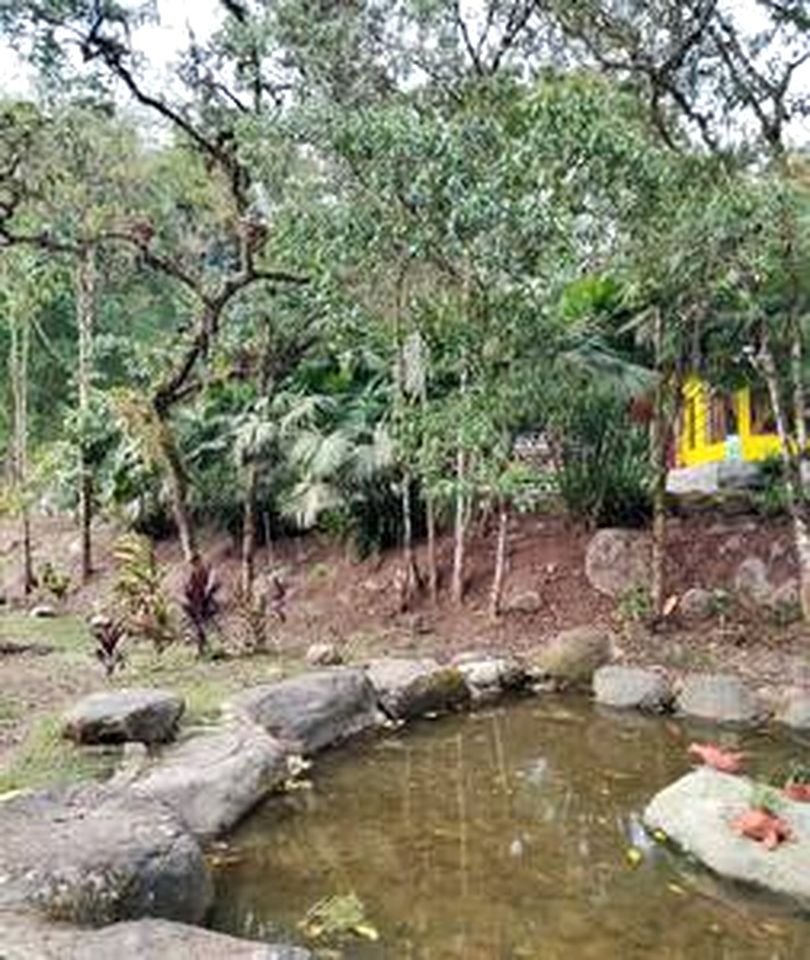 Off-Grid Pet-Friendly Cottage Nestled Among Nature in Ecuador