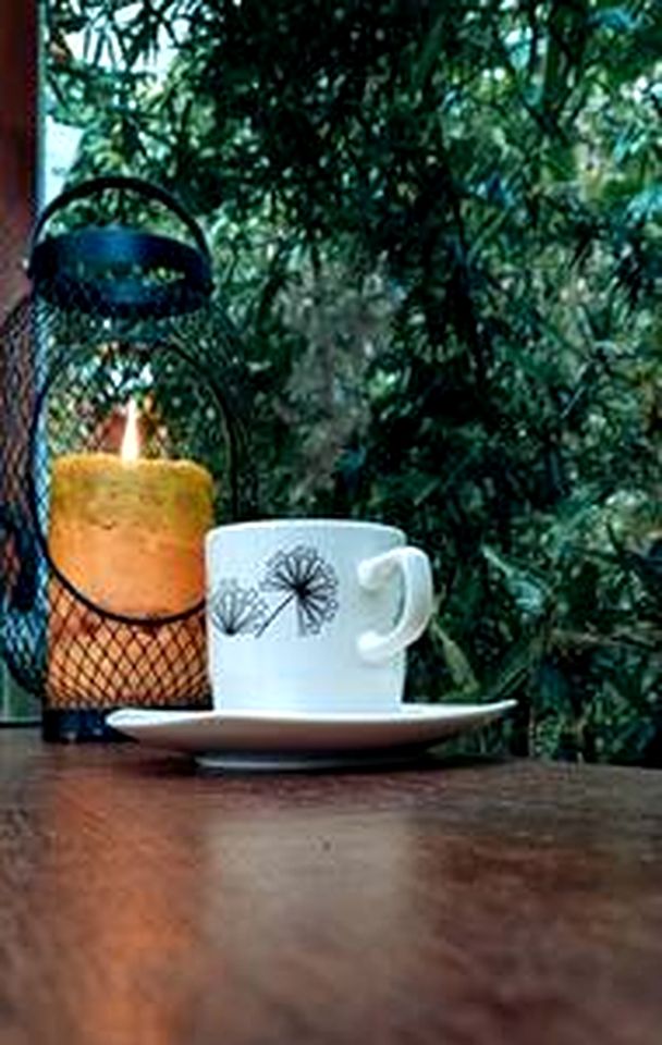 Off-Grid Pet-Friendly Cottage Nestled Among Nature in Ecuador