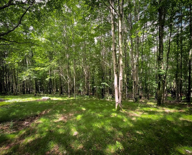 Tiny Houses (United States of America, Bovina, New York)