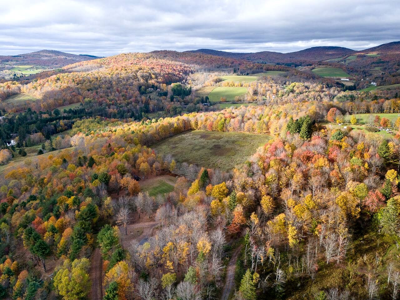 Off-Grid Tiny Cabin Retreat with Fire Pit & Forest Views in Bovina, New York