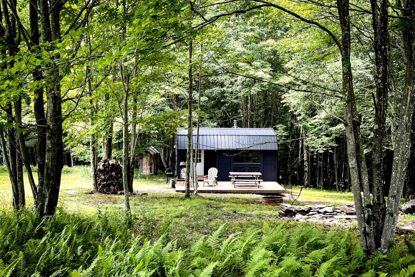 Off-Grid Tiny Cabin Retreat with Fire Pit & Forest Views in Bovina, New York