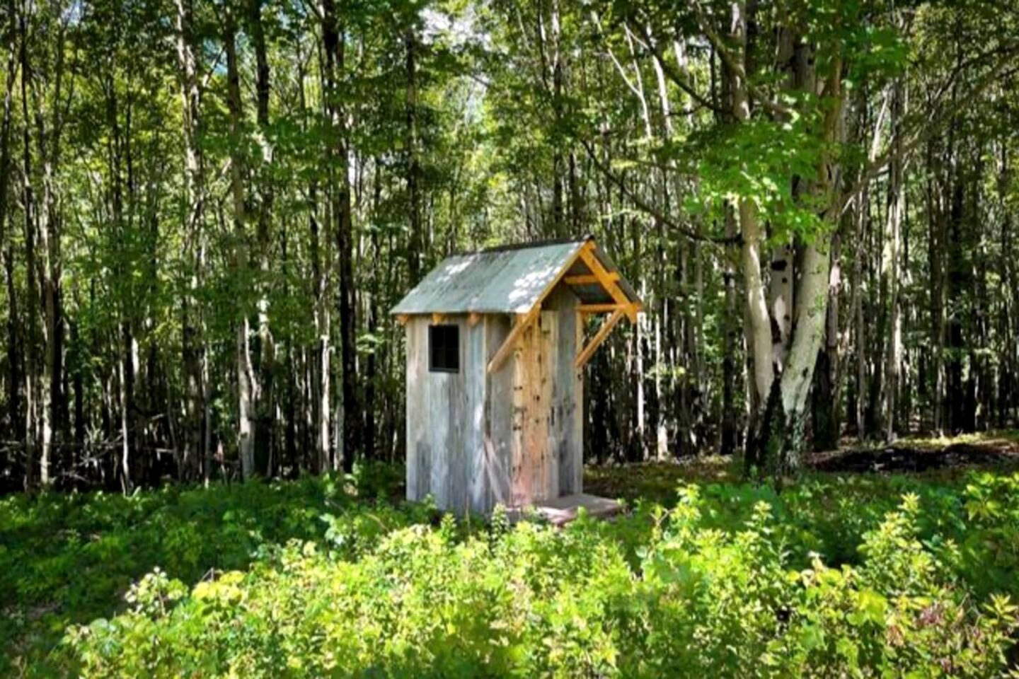 Off-Grid Tiny Cabin Retreat with Fire Pit & Forest Views in Bovina, New York