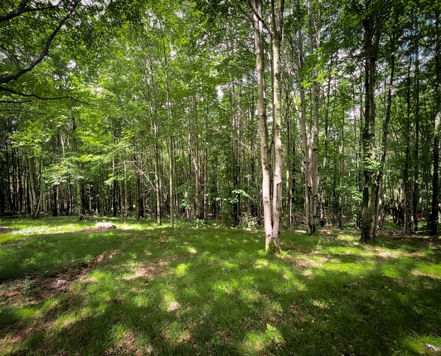 Tiny Houses (United States of America, Bovina, New York)