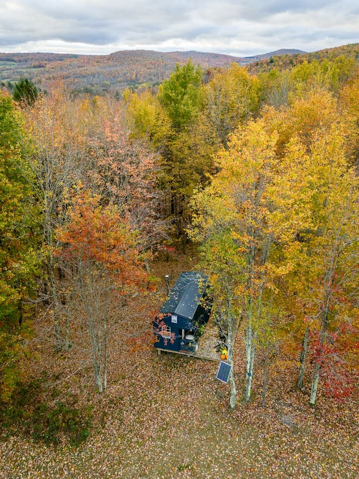 Off-Grid Tiny Cabin Retreat with Fire Pit & Forest Views in Bovina, New York