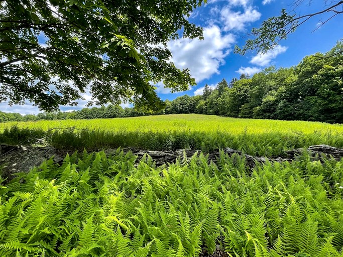Tiny Houses (United States of America, Bovina, New York)