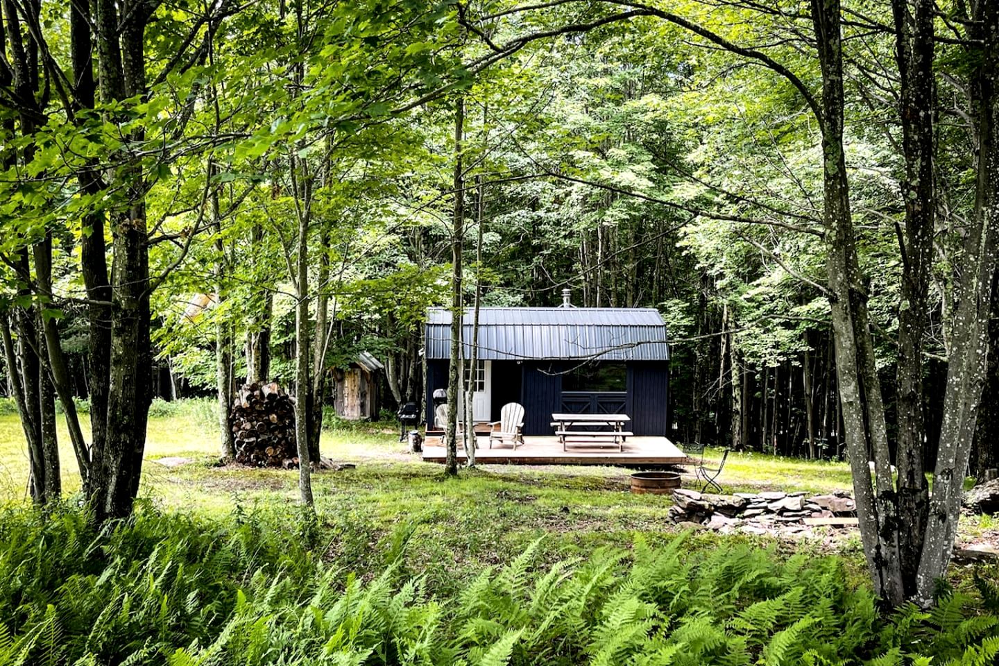 Off-Grid Tiny Cabin Retreat with Fire Pit & Forest Views in Bovina, New York