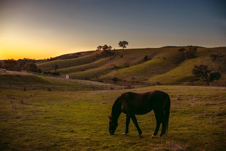 Tiny Houses (Australia, Tyaak, Victoria)
