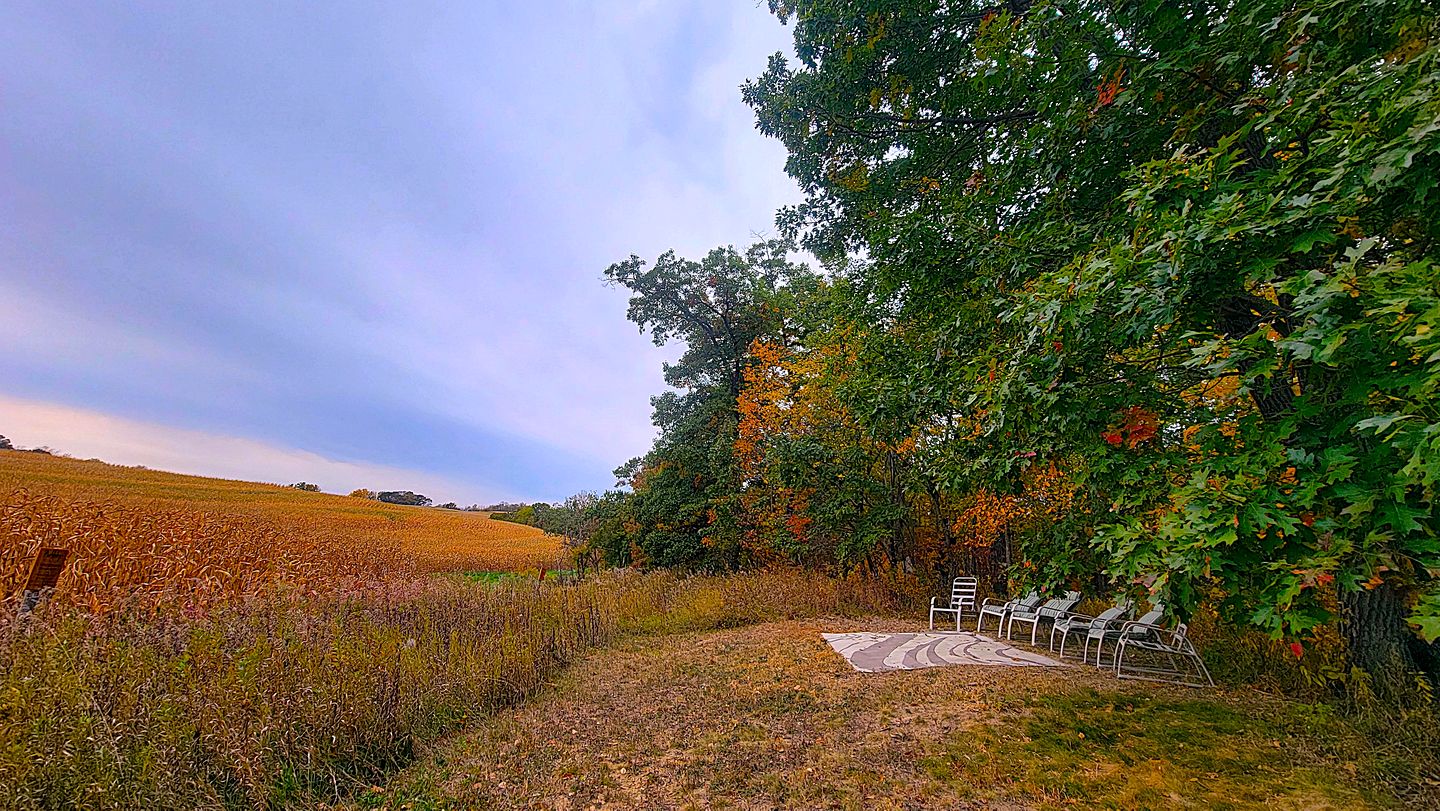 Off-Grid Tree Houses Great for Groups Getaways in Minnesota