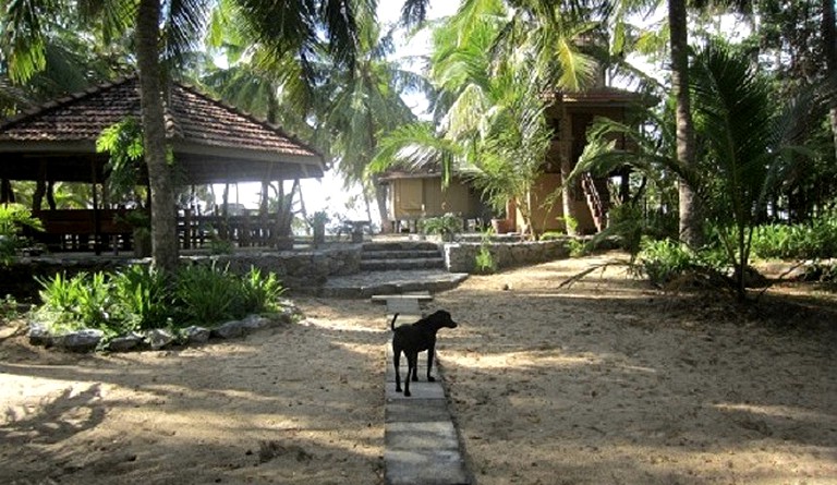 Huts (Hungama, Southern Province, Sri Lanka)