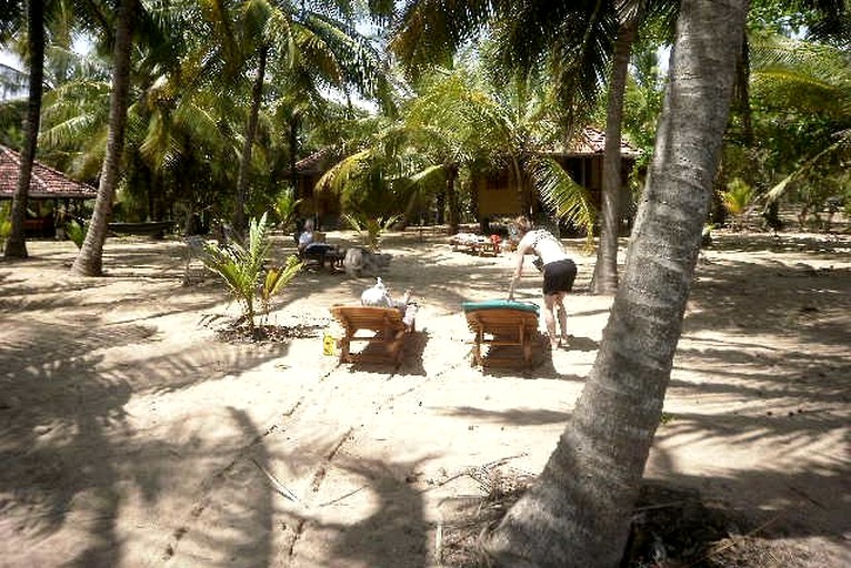 Huts (Hungama, Southern Province, Sri Lanka)