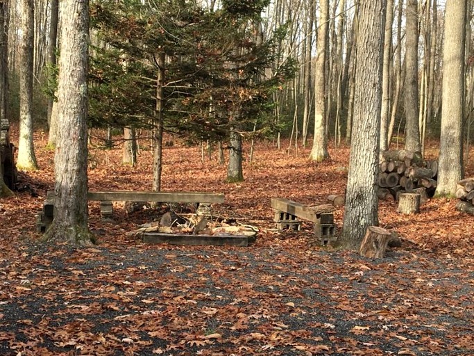 Cabins (Oakland, Maryland, United States)