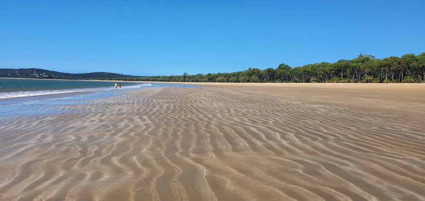 Coastal Tiny House for Glamping near Deepwater National Park