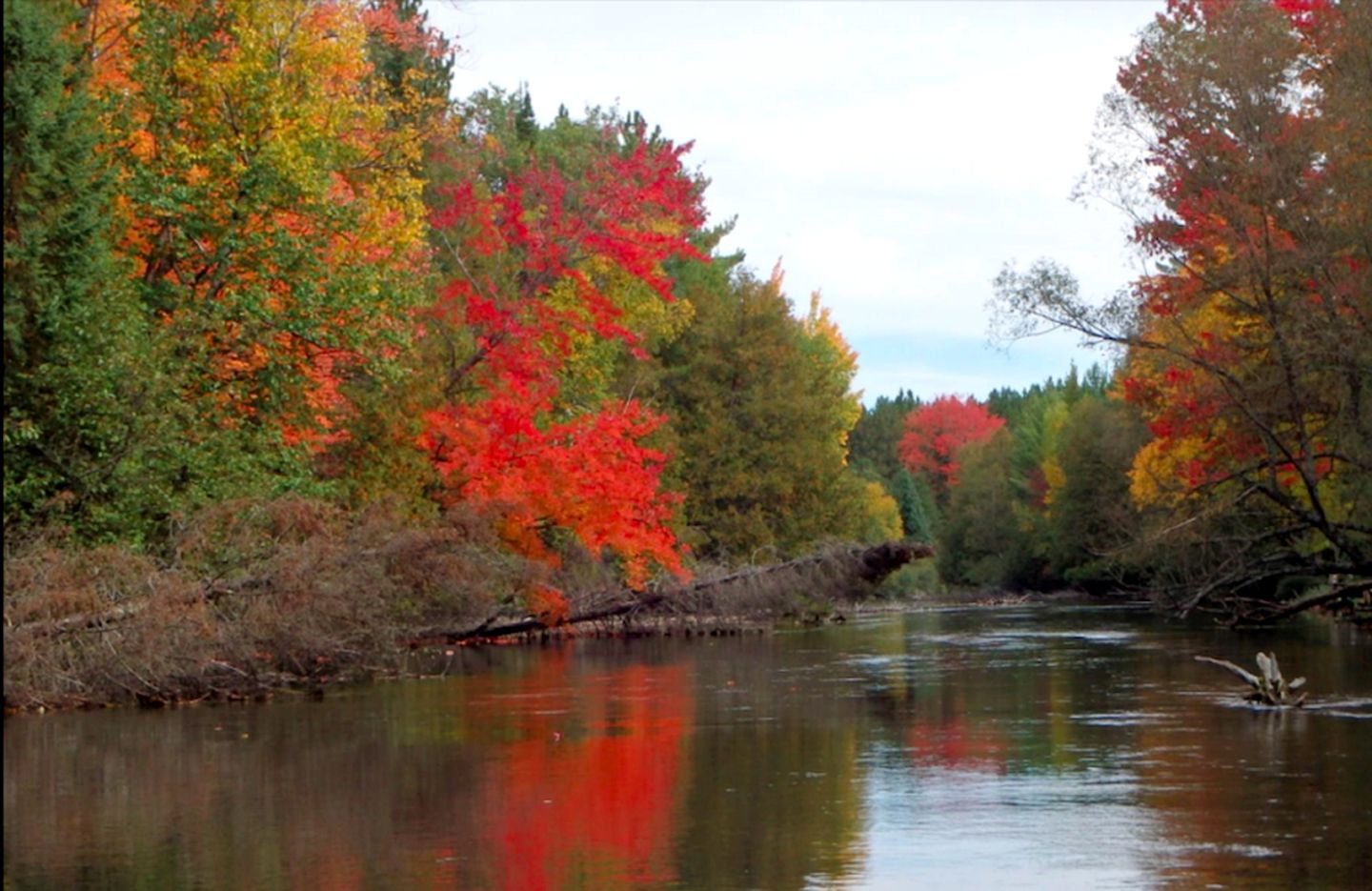 Secluded and Peaceful Cabin Rentals Along the Au Sable River in Michigan