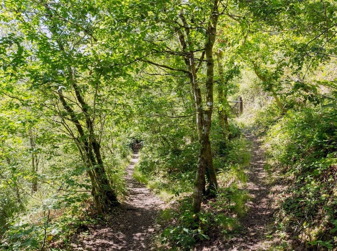 Romantic Cottage Rental Tucked Away in the Tamar Valley, England