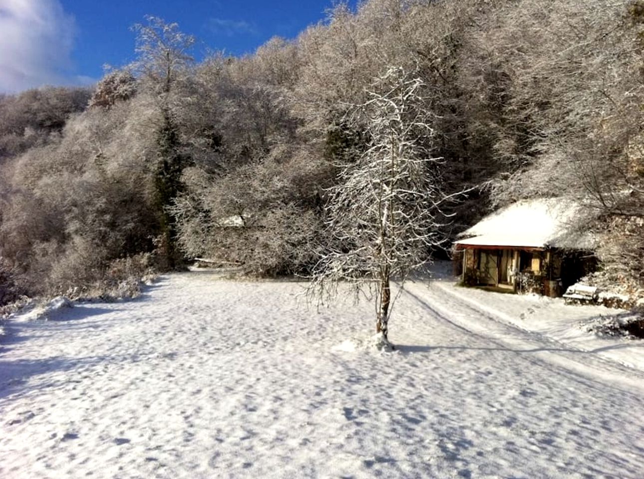 Cozy Two Person Vacation Cottage in the Tamar Valley, England
