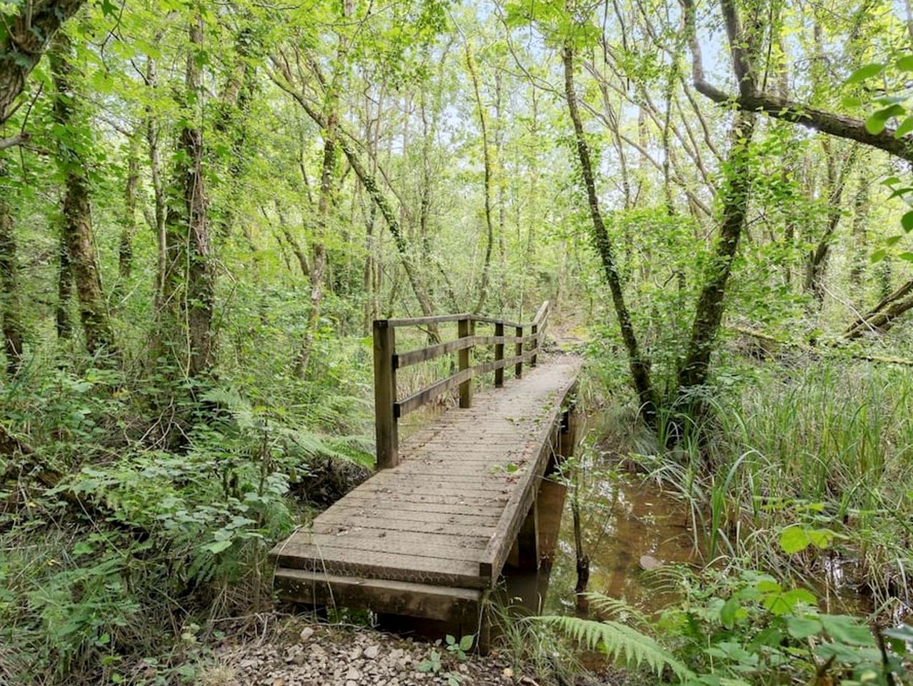 Cozy Two Person Vacation Cottage in the Tamar Valley, England