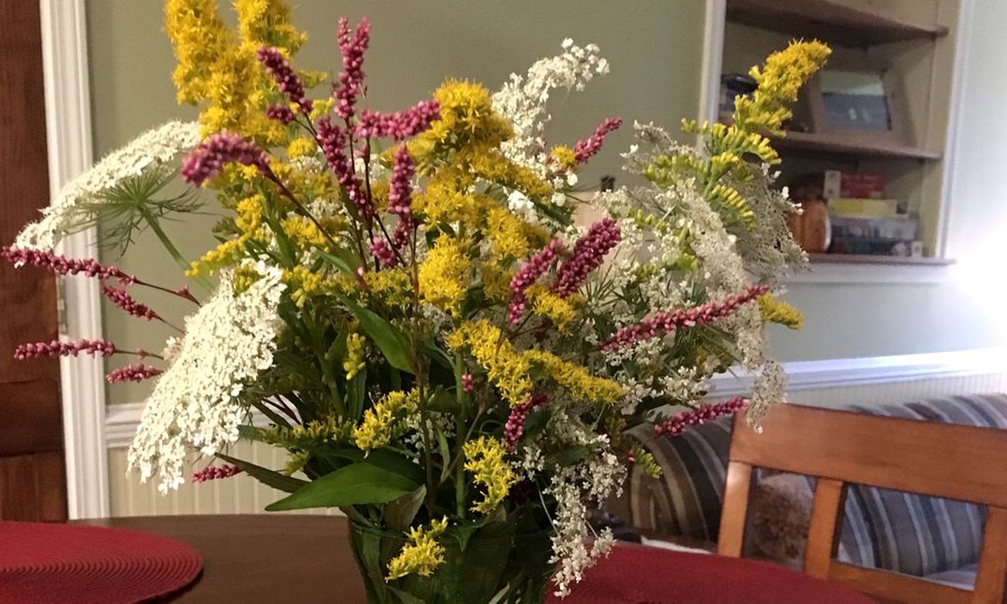 Cozy Mountain Getaway near Biking Trails in Franklin, North Carolina