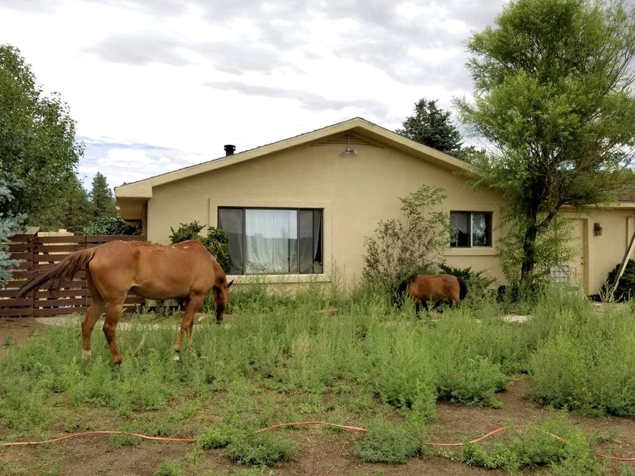 Farm Stay near Flagstaff, Arizona