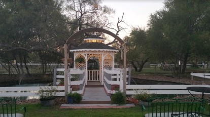 undefined photo 3