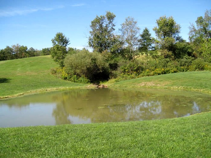 Barns (Fly Creek, New York, United States)