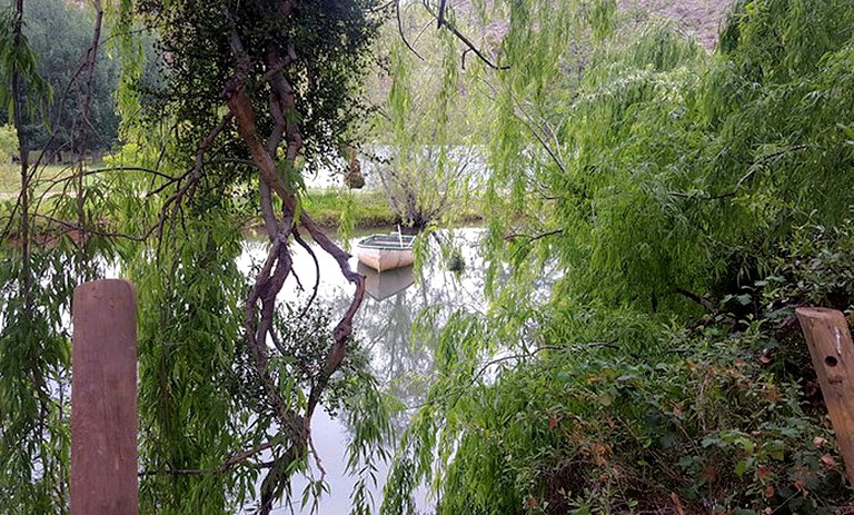 Safari Tents (Oudtshoorn, Western Cape, South Africa)