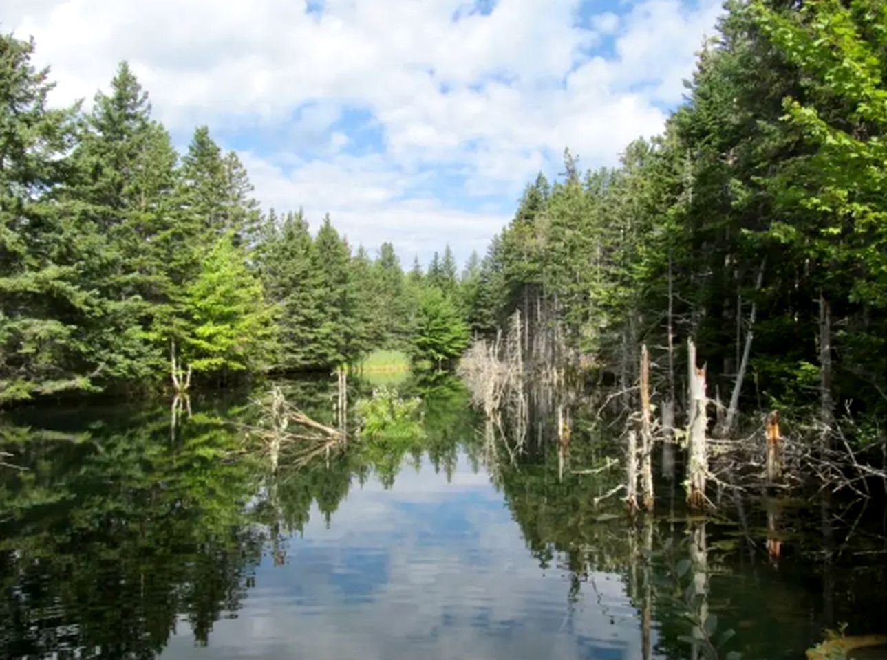 Comfortable and Well-Equipped Cottage For an Amazing Nature Getaway Near Cabot Trail in Margaree Forks, Nova Scotia