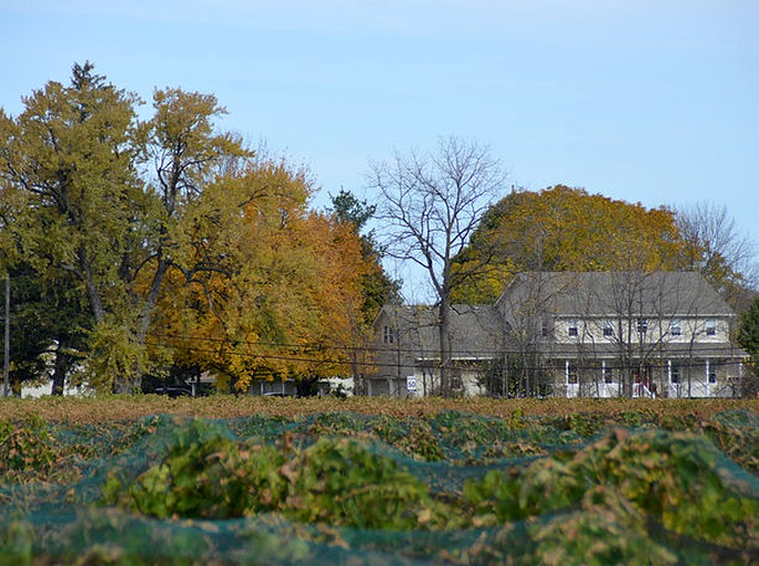 Nature Lodges (Niagara-on-the-Lake, Ontario, Canada)