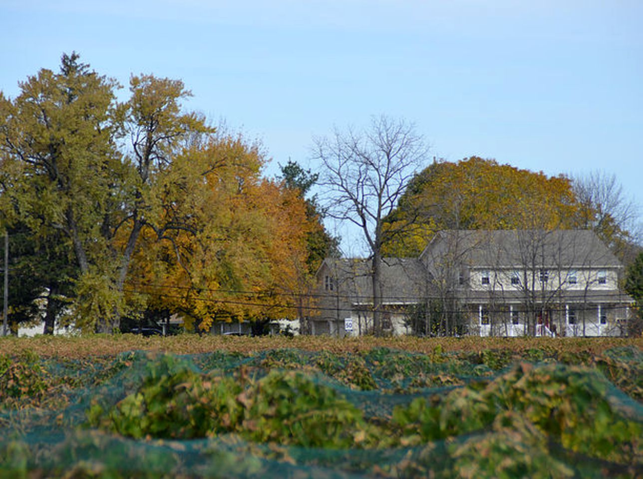 Romantic Suite Rental with a Solar Heated Pool near Niagara-on-the-Lake, Ontario