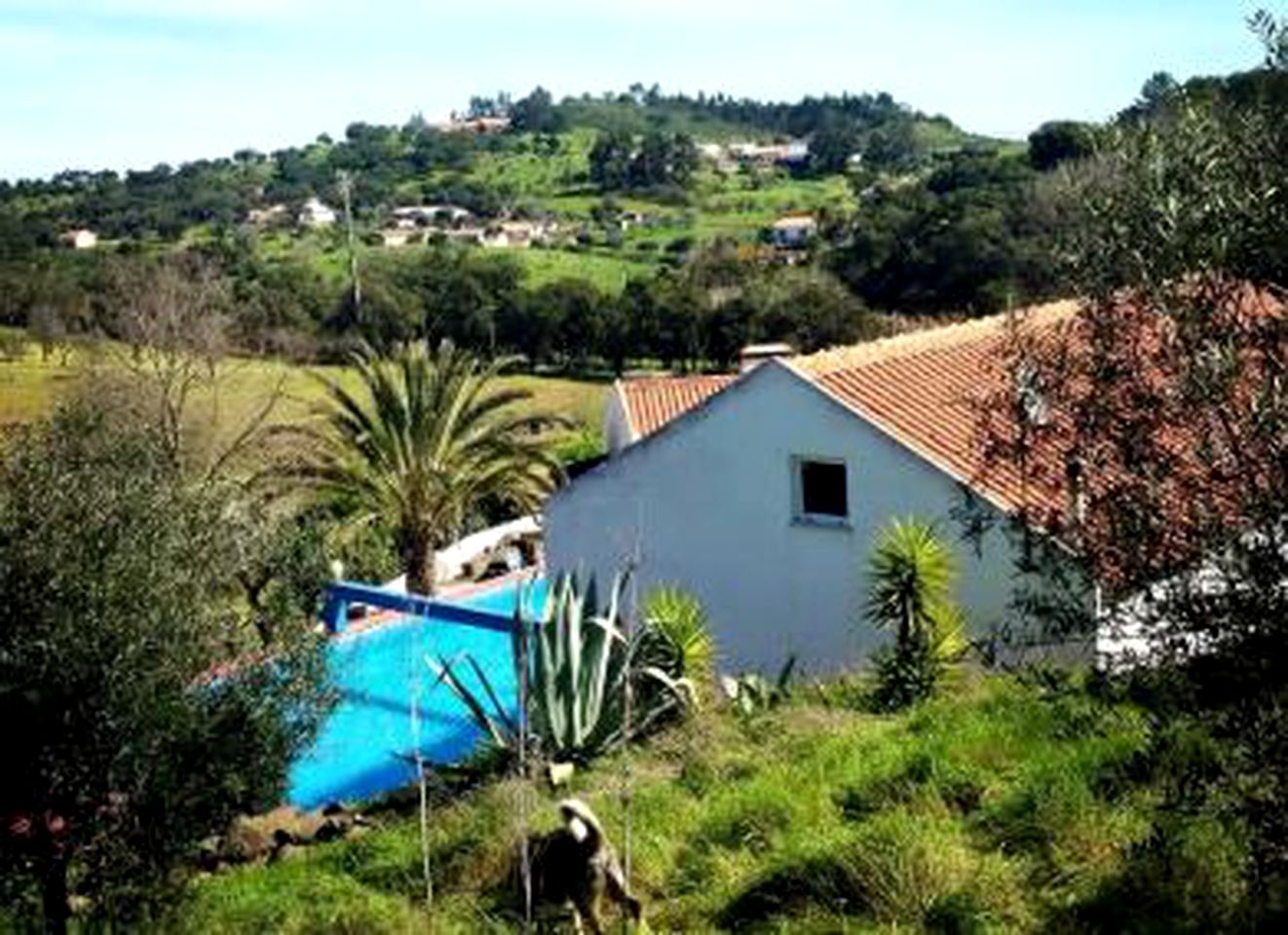 Peaceful Cottage Rental at a Unique Glamping Resort in the Countryside near Lisbon, Portugal